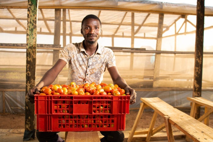 a man holding a crate of tomatoes.