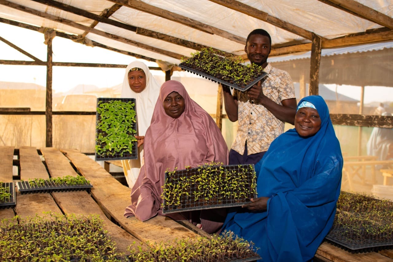 Rabia Kabiru (left) shows members of the Farmers’ Service Center how tomato seedlings are grown. The center provides training for members and easy access to agricultural inputs.