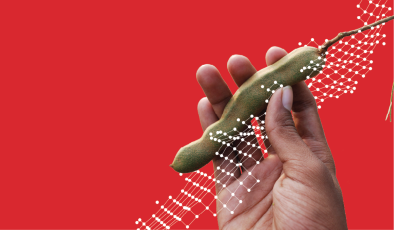 hand holding a vegetable against a red background.