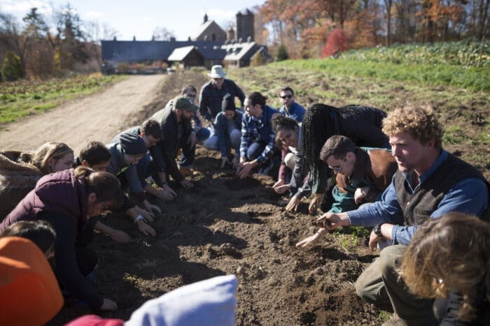 Stone Barns Food Vision