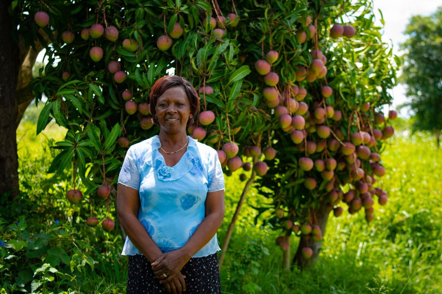 Elizabeth Muia began growing mangoes in 2008 on her farm in Kyumu village, Machakos County. Photo credit: Paukwa House