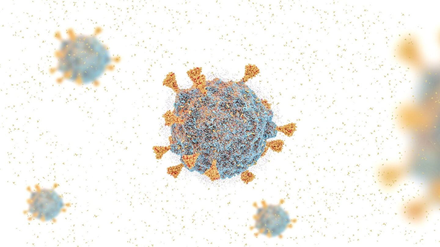 image of a virus with spikes
