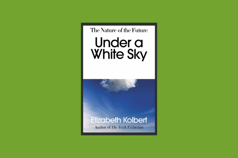 Under a White Sky book cover.