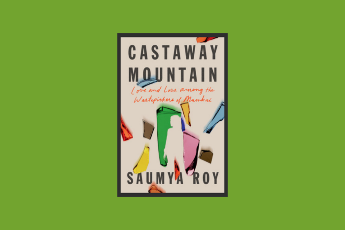 Castaway Mountain book cover.