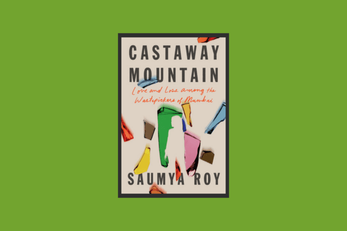 Castaway Mountain book cover.