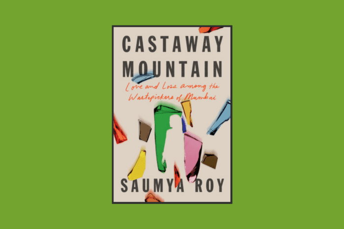 Castaway Mountain book cover.