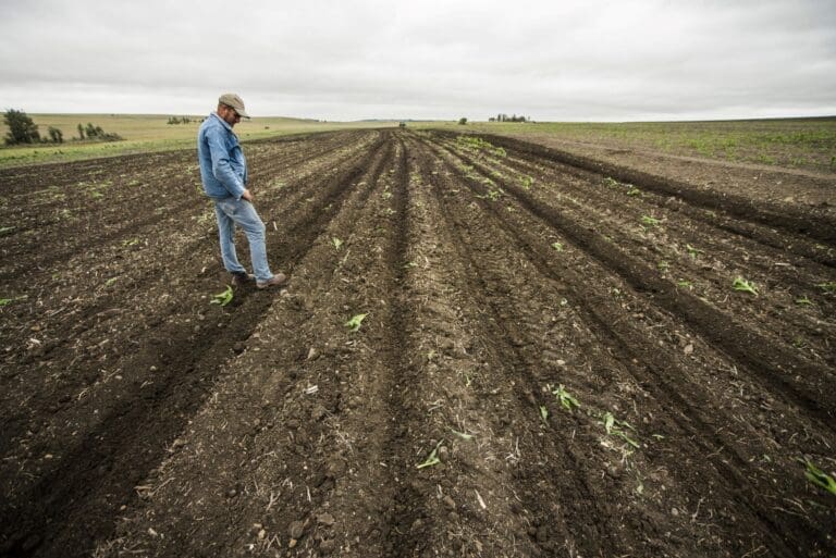 farmer in a field.