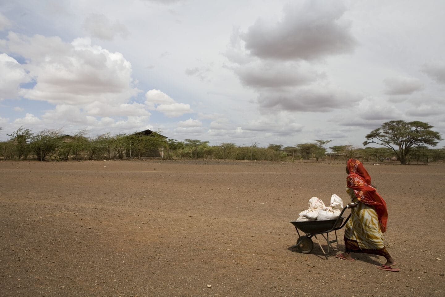 woman wheeling food on a wheelbarrow.