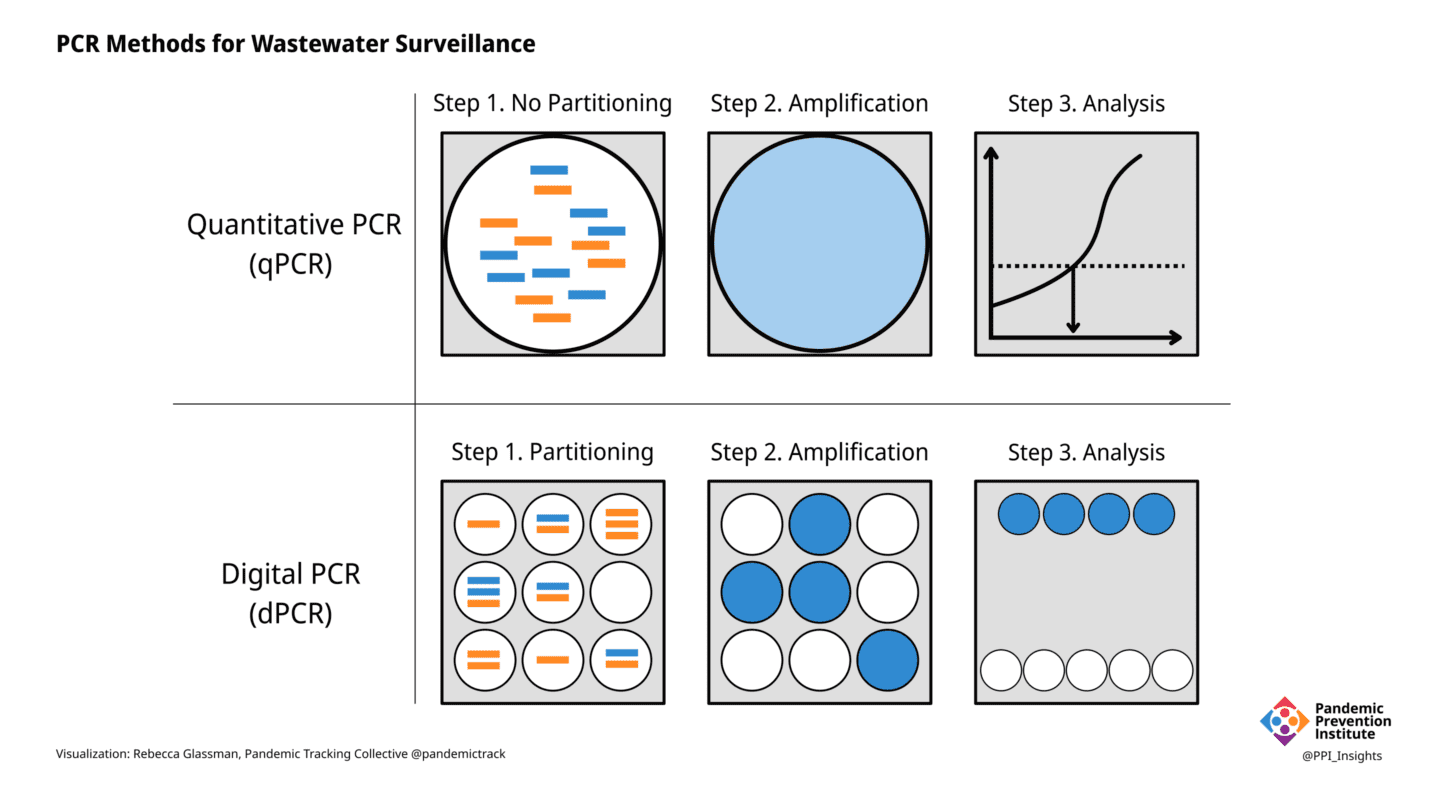 a schematic illustrating the steps in qPCR vs. dPCR as described in the caption.