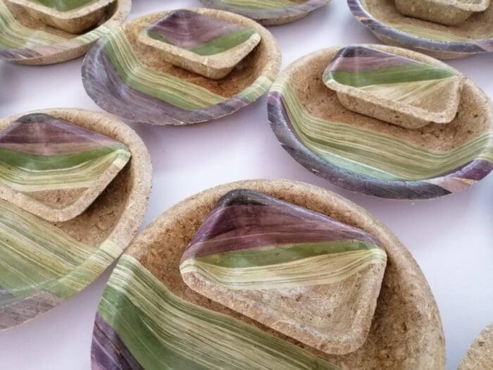 Image is of rainbow rice leaves.