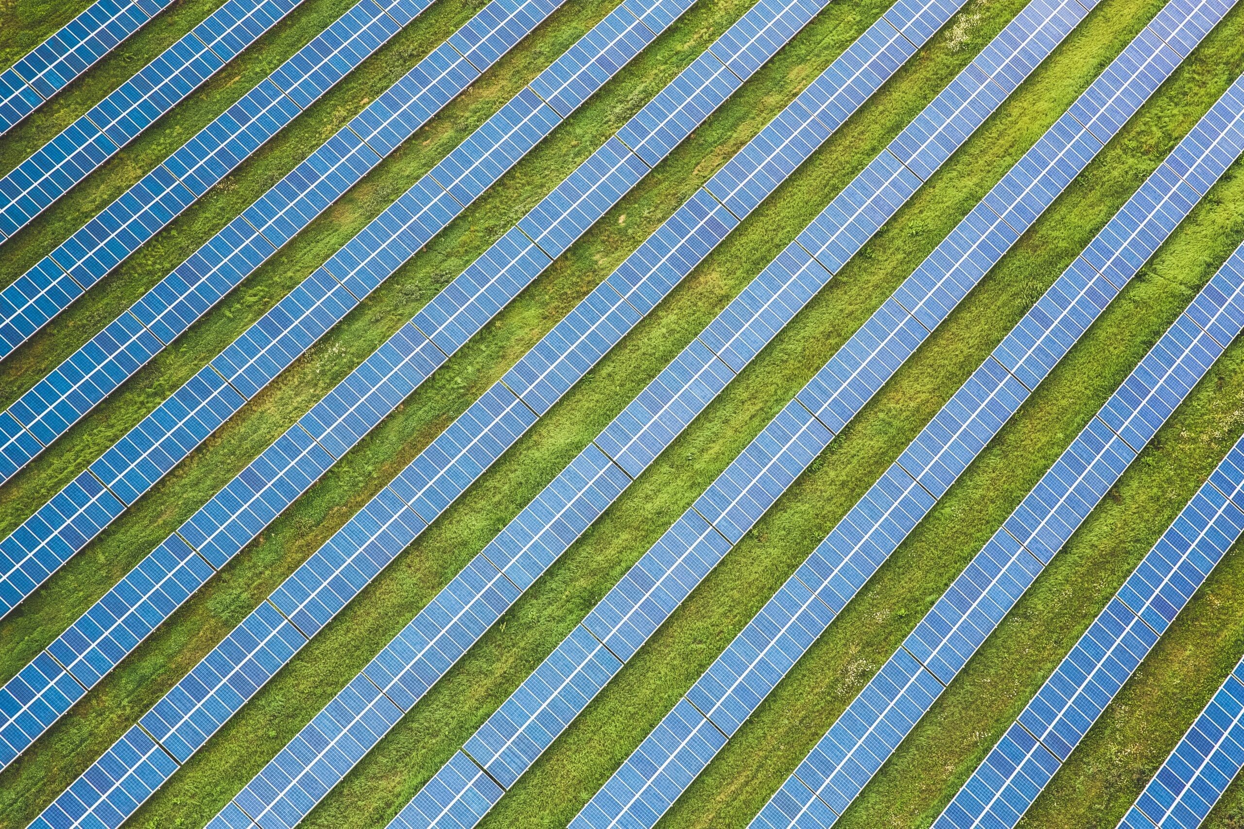Power for All Distributed Renewable Energy Job Report Sees Strong Post-Pandemic Growth - Vimarsana News