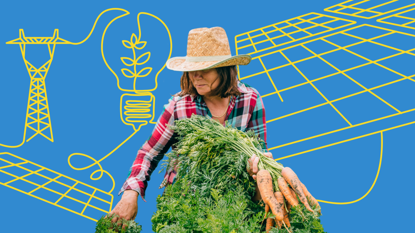 woman in hat holding carrots