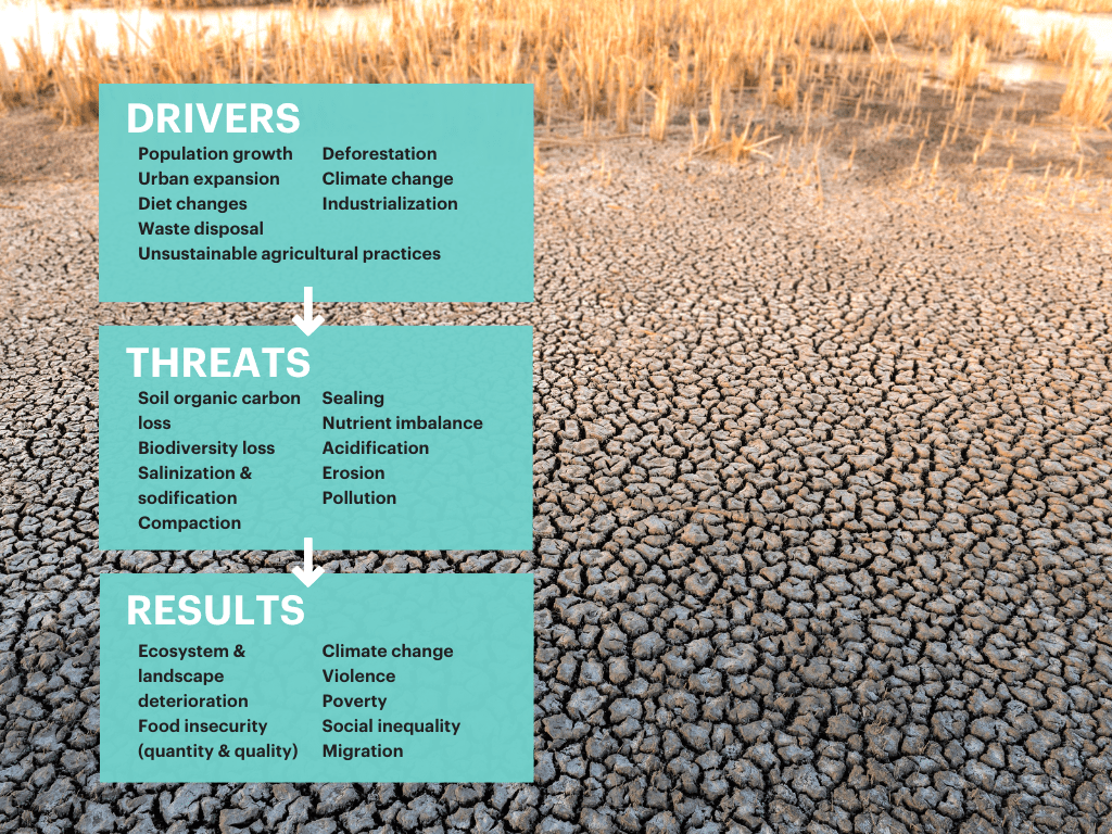 case study on agriculture in india