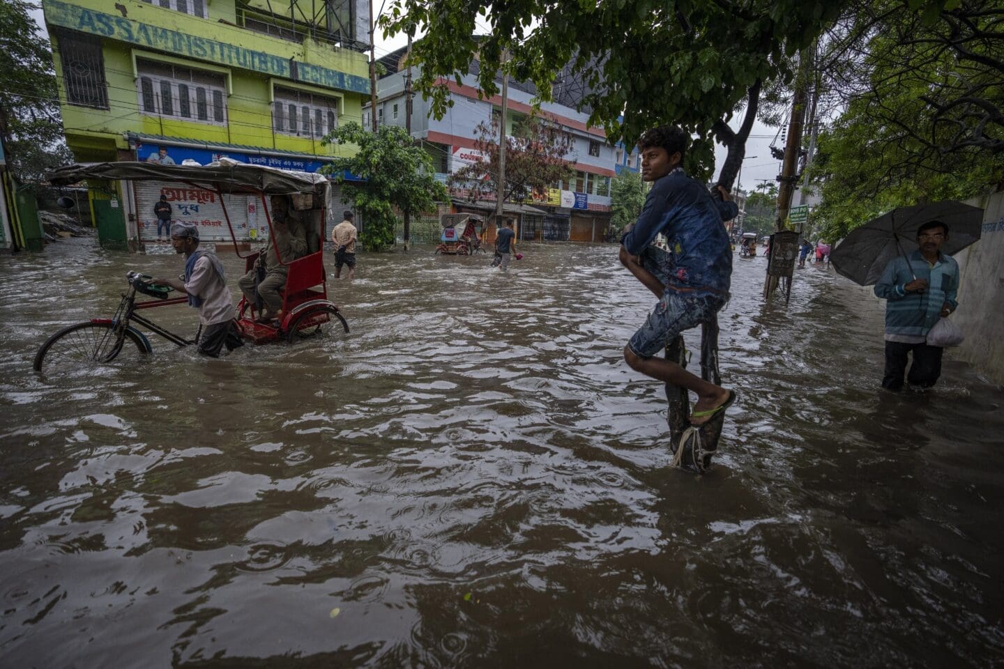 boy clinging onto a tree as a flood flows through village