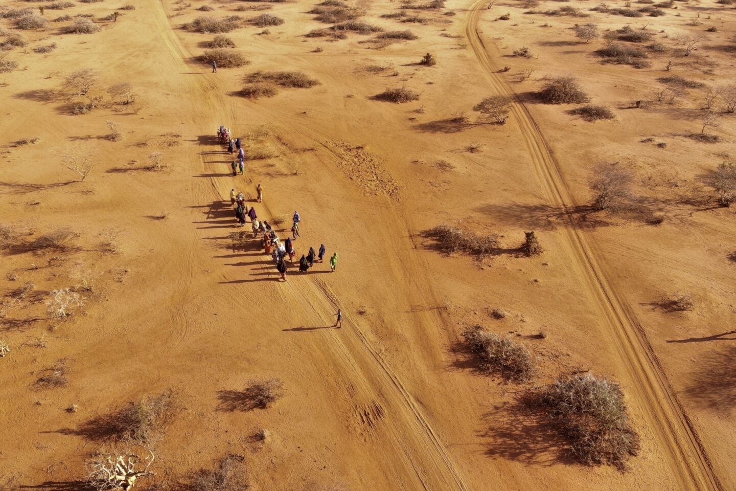 handful of people walking through a desert drought