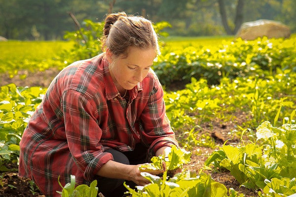 woman farmer bending over crops