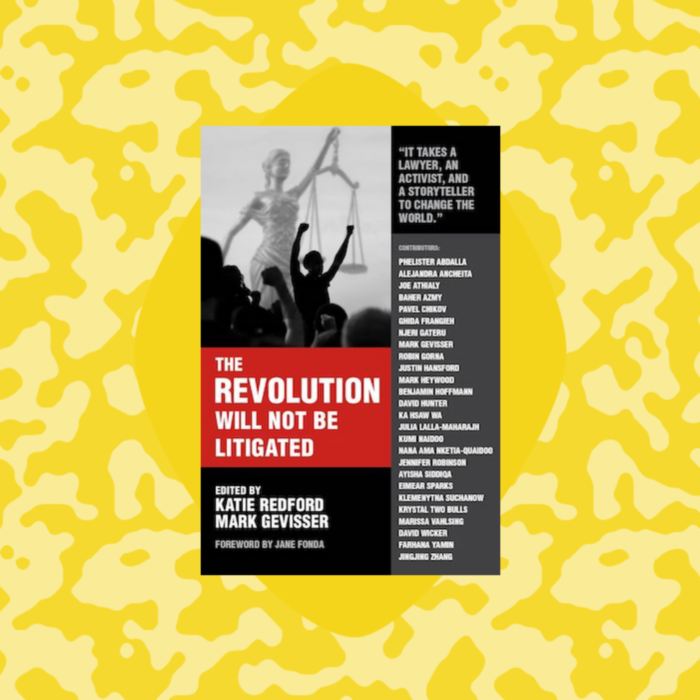 graphic of the front cover of a book that reads "The revolution will not be litigated by Katie Redford"