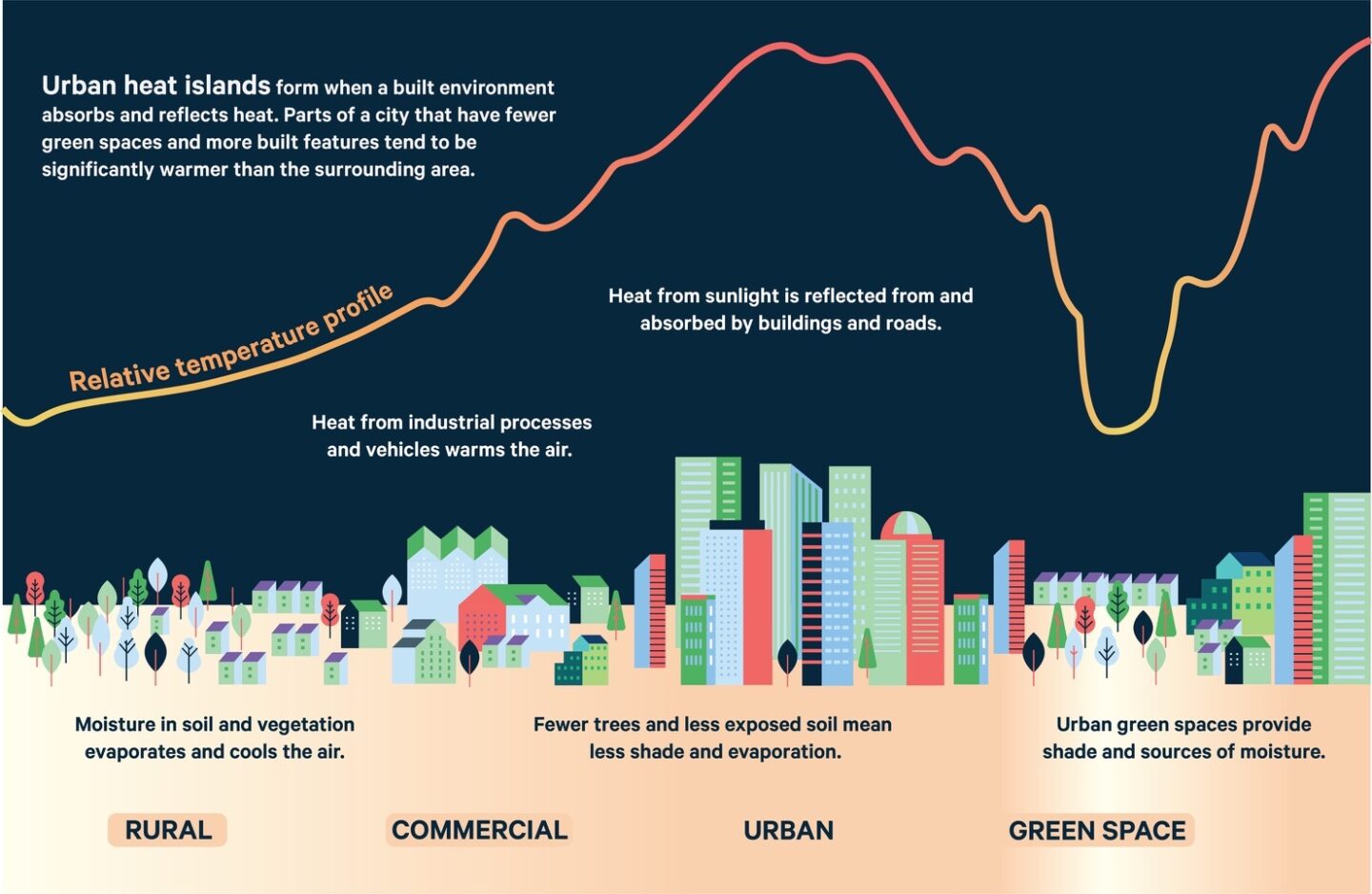graphic that reads "urban heat islands form when a built environment absorbs and reflects heat. Parts of a city that have fewer green spaces and more built features tend to be significantly warmer than the surrounding area"