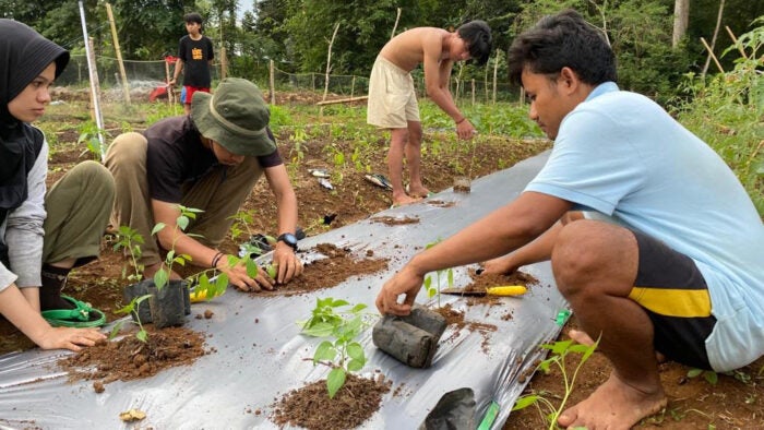 Work underway at a collective learning center for farmers in Indonesia (Photo Courtesy of Karno Batiran)