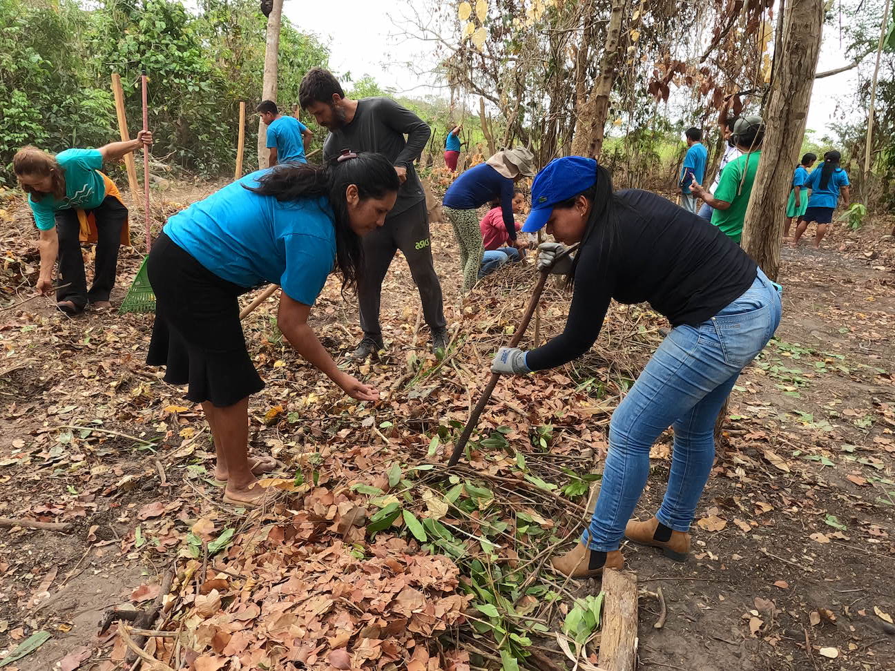 Participants in an agroforestry workshop at the Guajajara's Zutiwa Indigenous Village, Araribóia territory, Maranhão, Brazil. (Photo Credit Ana Rosa de Lima)