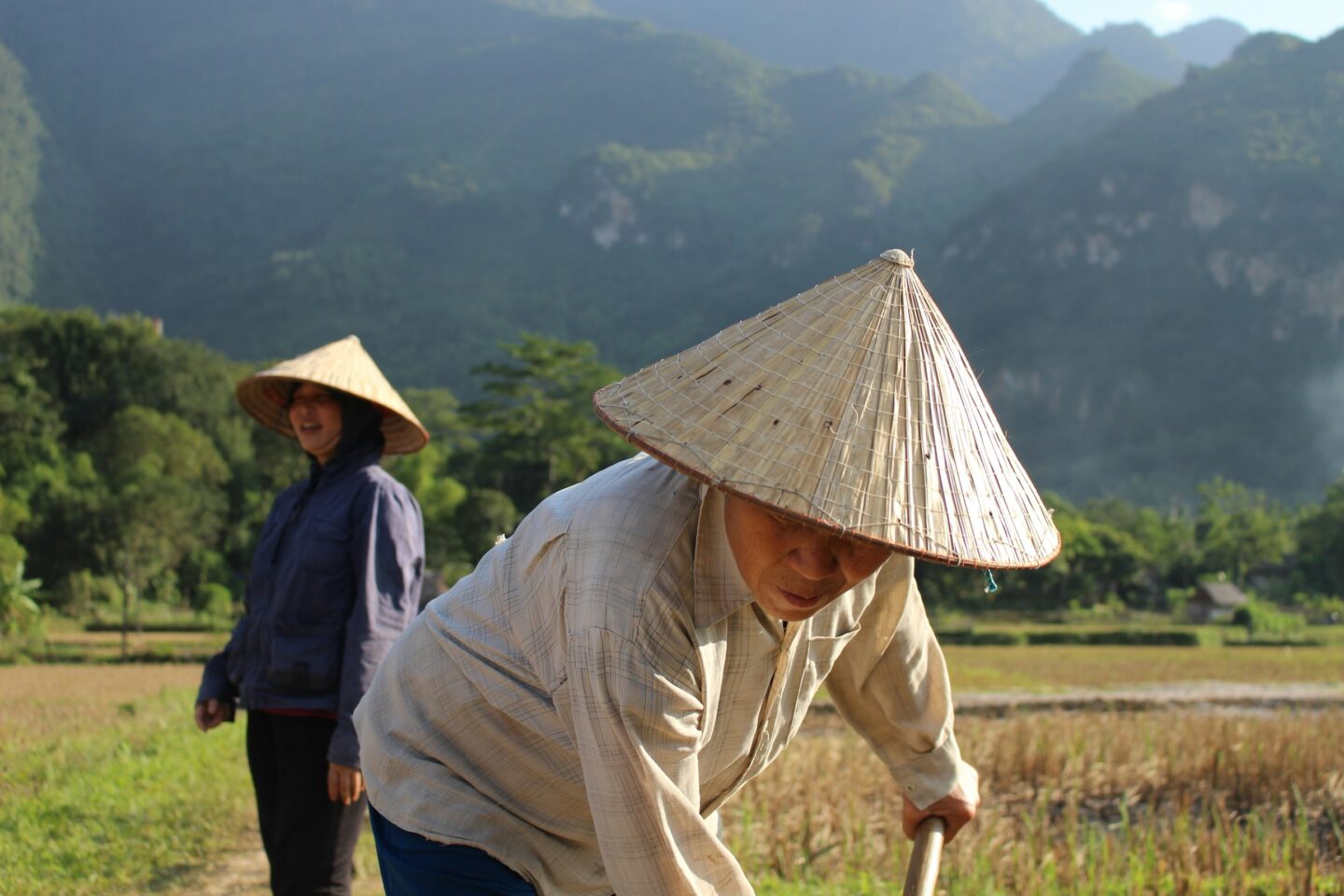 Rice Farmers in Vietnam