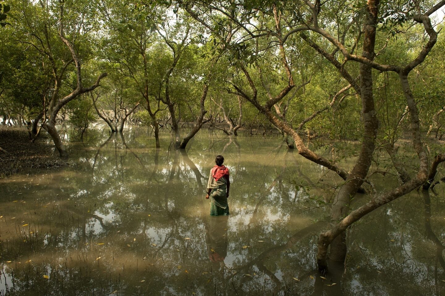 Kabita Mandal waits for a crab to bite her line as the tide begins to rise. She is one of many “tiger widows” who eke out a livelihood in the Sundarbans. (Photo Credit Arati Kumar-Rao)