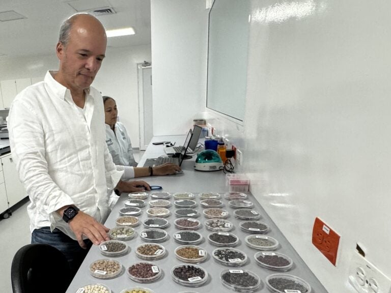 Dr. Andres Jaramillo, Director of the Research Institute in Omics Science, examines the varieties of beans his lab will analyze. (Photo Credit Masha Hamilton)