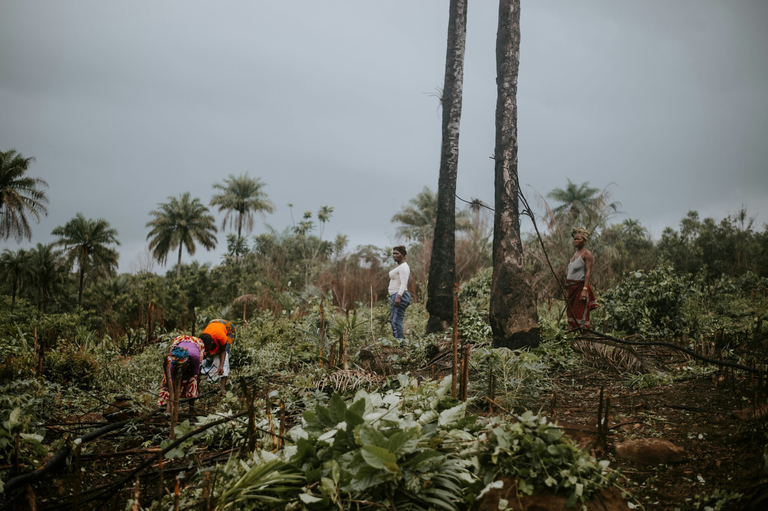 Rockefeller Foundation Supports Discussion on Ethical Role of Governments, Businesses and Society in Addressing the Climate Emergency
