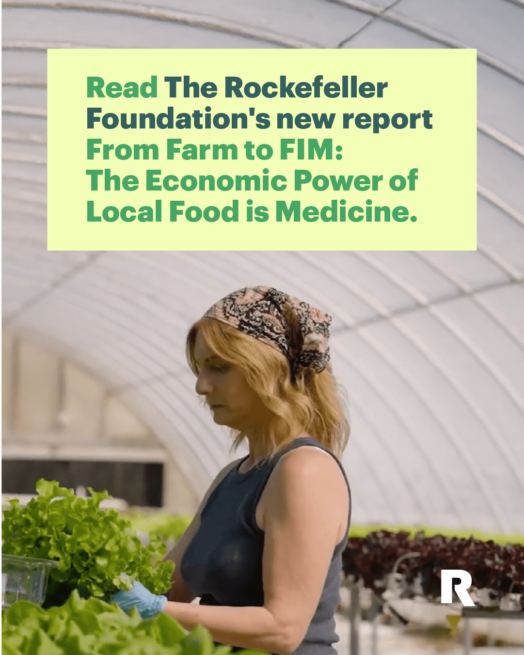 New Report | Twitter Image