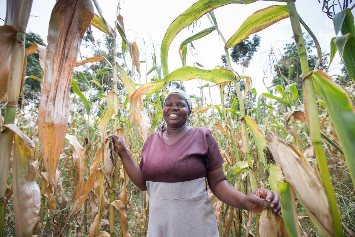 Woman harvesting vegetables in the field.