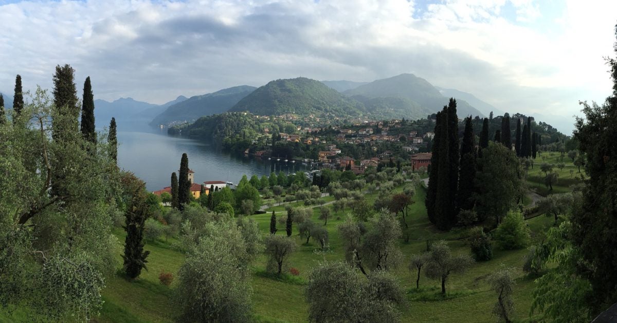 panoramic view of trees on a mountain and an ocean