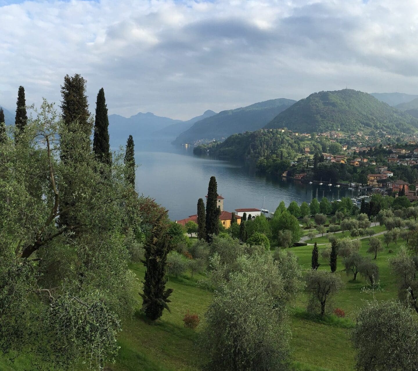 panoramic view of trees on a mountain and an ocean