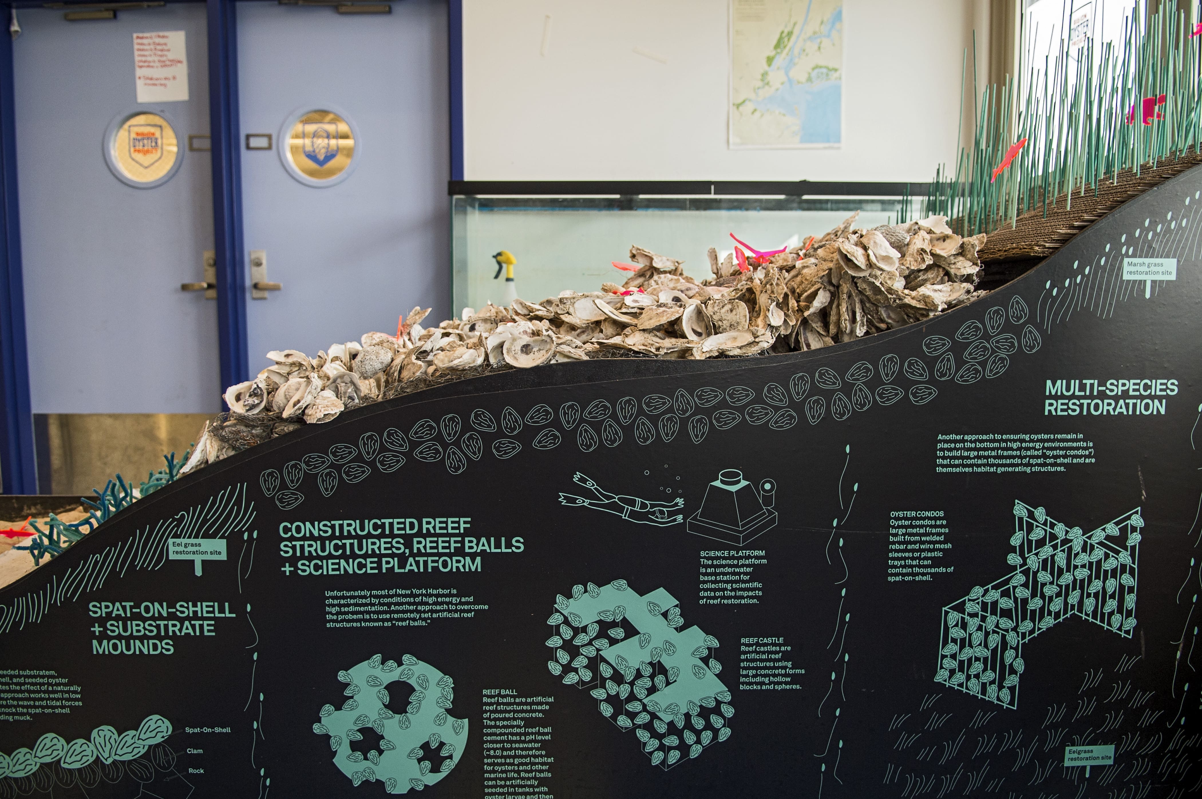 Oyster Reef Model in the Harbor School