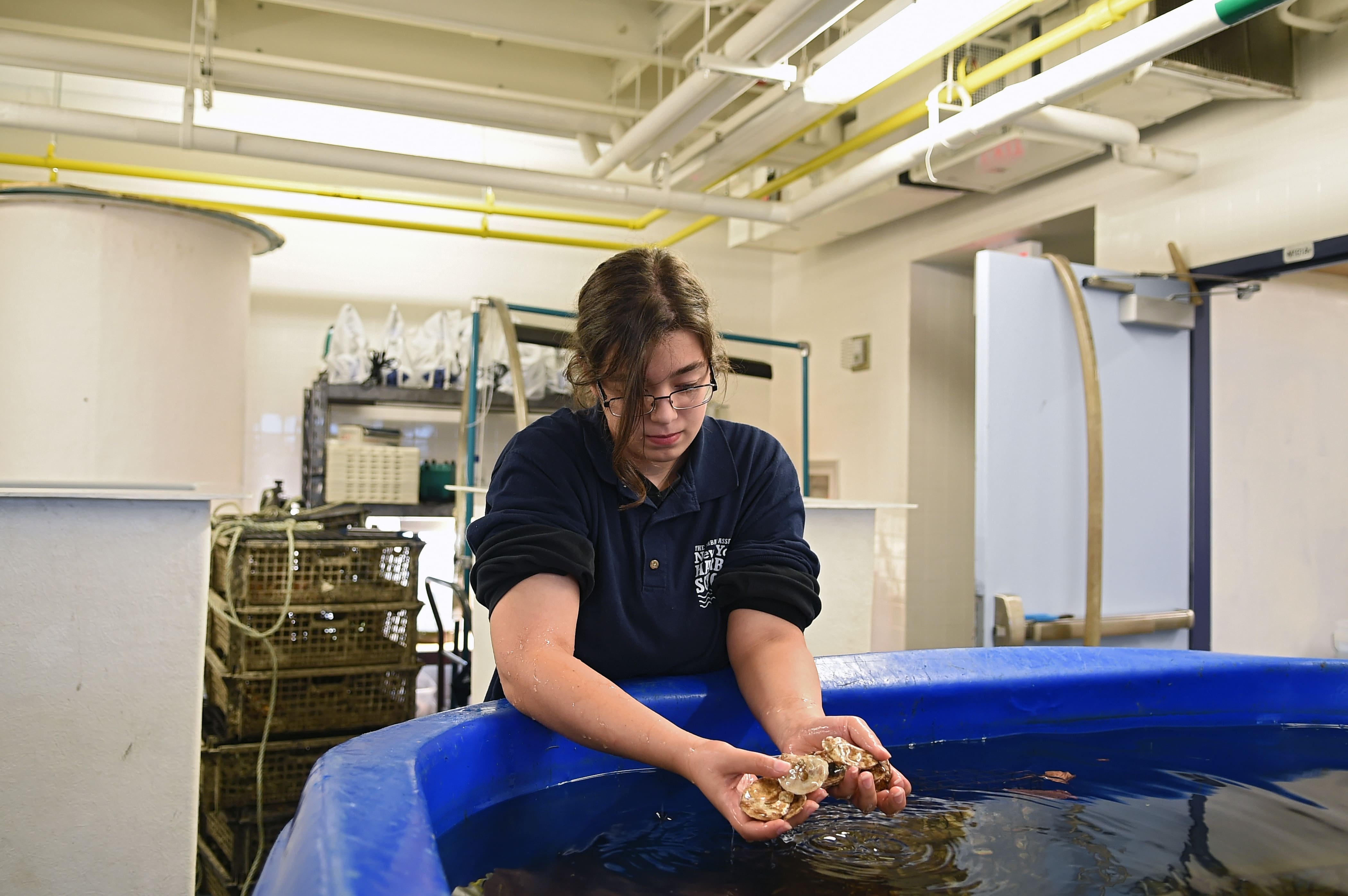 Oyster Hatchery in the Harbor School