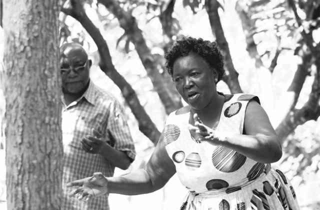 Vice Chair of Kambiti Famers Group Lucy Wacheke gesturing towards a group.