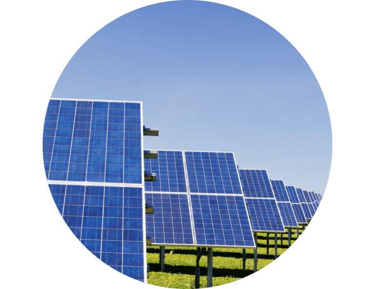 Solar panels in a field.