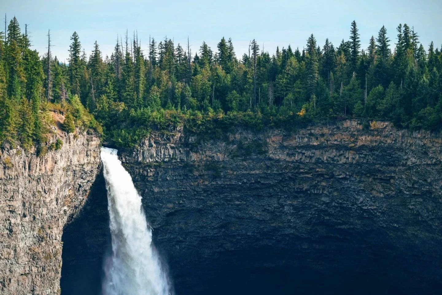Flowing waterfall surrounded by dense forest.