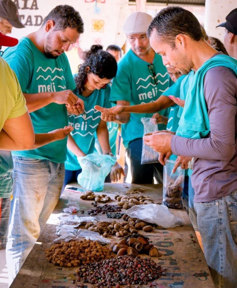 Amazon Indigenous Examining Local Foods
