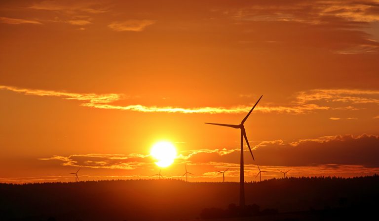 open field filled with wind turbines at sunset.