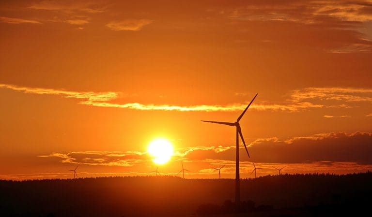 open field filled with wind turbines at sunset.